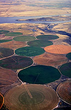 airial farm view Photo by Doug Wilson