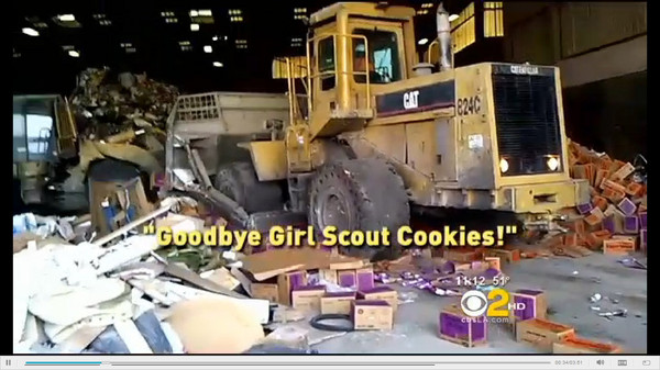 bulldozer girl scout cookies destroyed