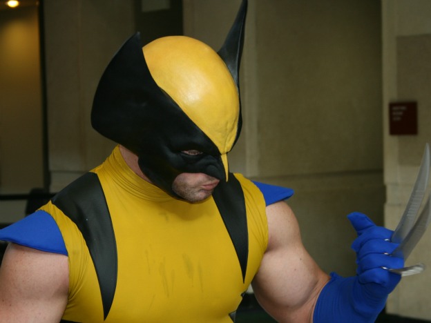 Wolverine Cosplay  MegaCon 2013