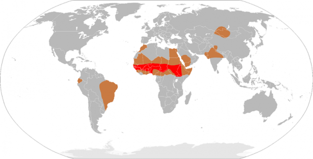 The African Meningitis Belt is seen here in red. Photo/Leevanjackson visa Wikimedia Commons