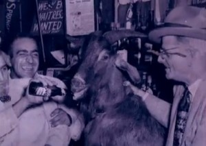 The Billy Goat curse and the Chicago Cubs dates back decades, but a severed goat's head showing up a Wrigley now has the police investigating the likely prank photo screenshot of History Channel video