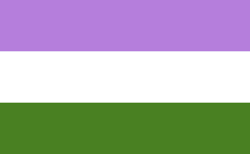 The Genderqueer Pride flag  photo Marilyn Roxie