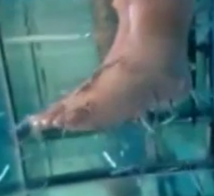 The doctor fish munch on the dead skin on Kim Kardashian's feet Image/Video Screen Shot