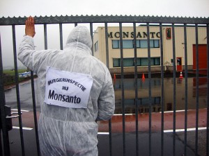 public inspection of Monsanto plant in Netherlands