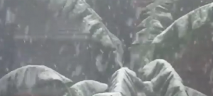 Snow in the Philippines? No, it was faked Image/Video Screen Shot