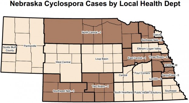 Nebraska Cyclospora Cases by Local Health Dept map 