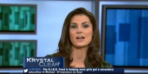 Krystal Ball MSNBC screenshot Mincome