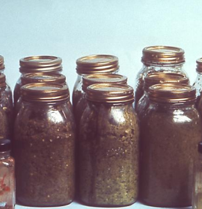 Botulism is often associated with home-canning Image/CDC