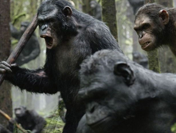 Apes battle cry Dawn of the Planet of the Apes