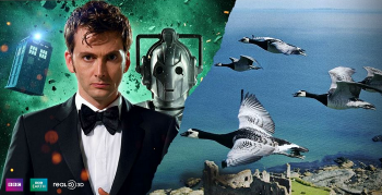 David Tennent Doctor Who Wings 3D