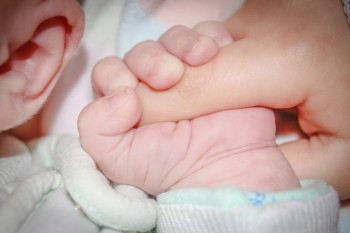 baby hand holding finger photo/ Michael Jarmaluk via pixabay.com