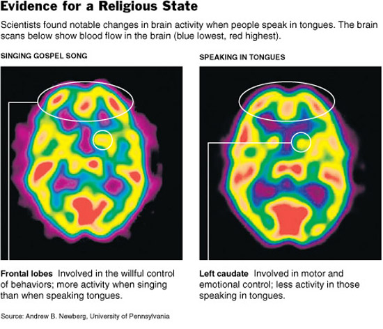 Speaking in Tongues results in a change in brain activity and blood flow, a new study shows.