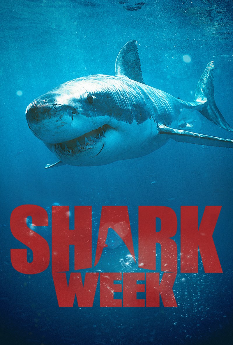 Shark Week coming to cinemas on July 18 The Global Dispatch The
