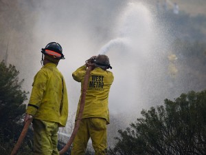 fire crew fighting Colorado fire FEMA 2008 wildfire