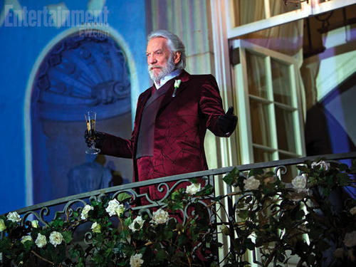 the-hunger-games-catching-fire-donald-sutherland
