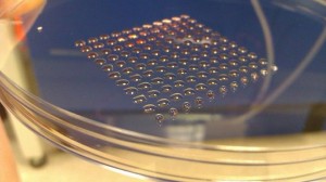 Researchers have developed a 3D printer that prints human embryonic stem cells. (Dr Will Shu / Biofabrication) 