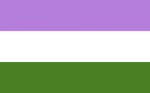 The Genderqueer Pride flag  photo Marilyn Roxie
