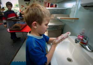 After having just handled a turtle, this young child was appropriately washing his hands, which potentially could have been contaminated with Salmonella bacteria that may have been carried by the pet turtle in this classroom. Image/CDC