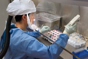 A CDC Scientist harvests H7N9 virus that has been grown for sharing with partner laboratories for research purposes.Image/CDC