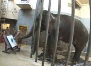 Rama the Elephant painting Image/Video Screen Shot