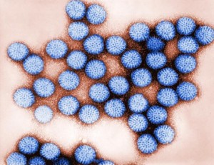 Rotavirus Image/CDC/Bryon Skinner