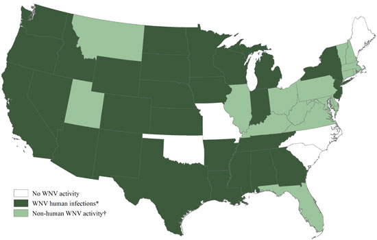 West Nile Virus Activity by State – United States, 2013 (as of August 20, 2013) Image/CDC