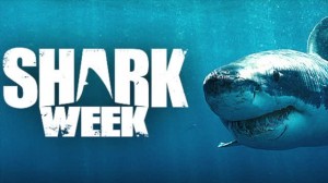 shark week promo banner