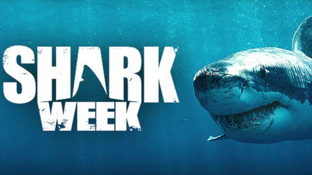 Shark Week is back! 