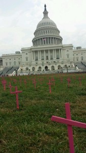 Students for Life prolife pink crosses US capitol