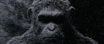 war-for-the-planet-of-the-apes-snowy-tease-photo-caesar